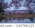 長野縣六道堤岸:盛開的高戶小彼岸櫻花沐浴在黎明的靜謐中,倒映在水面上。 長野縣六道堤岸:盛開的高戶小彼岸櫻花沐浴在黎明的靜謐中,倒映在水面上。 143766125