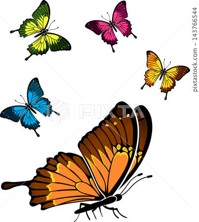 Butterfly 143766544