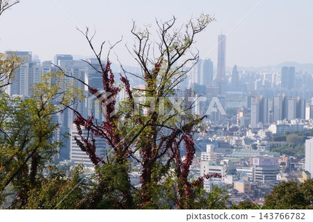 Famous N Seoul Tower landmark and urban skyline view from Namsan Mountain Famous N Seoul Tower landmark and urban skyline view from Namsan Mountain 143766782