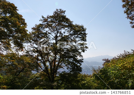 Famous N Seoul Tower landmark and urban skyline view from Namsan Mountain 143766851