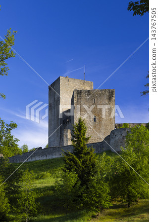Landstejn castle standing on green hill in Jihocesky kraj 143767505