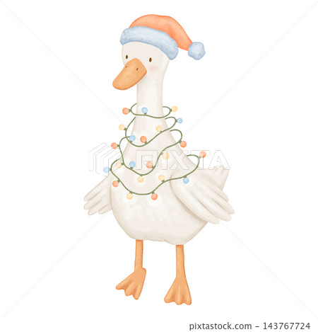 Cute Christmas goose, hand painted isolated illustration. Farm bird in santa hat and lights. Baby watercolour drawing Cute Christmas goose, hand painted isolated illustration. Farm bird in santa hat and lights. Baby watercolour drawing 143767724