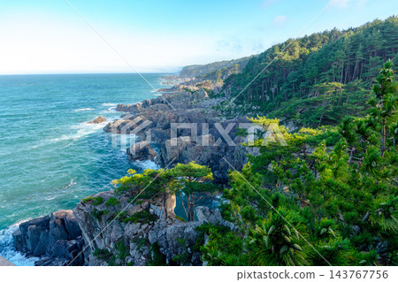 從岩手縣久慈市橫沼展望台眺望三陸海岸:夏季的峽灣海岸線景色,遍布松樹林和形狀奇特的岩石。 從岩手縣久慈市橫沼展望台眺望三陸海岸:夏季的峽灣海岸線景色,遍布松樹林和形狀奇特的岩石。 143767756