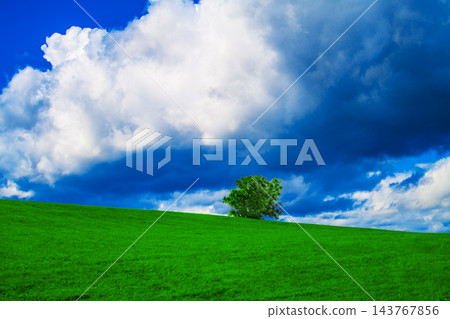 美麗的自然景觀 美麗的自然景觀 143767856