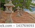 Stone lanterns of Miyajima line the pine forest coast and the Seto Inland Sea 143769093