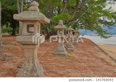 宮島的石燈籠沿著松林海岸和瀨戶內海排列。 143769093