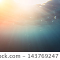 Jellyfish swimming peacefully beneath golden sunbeams filtering down through clear ocean water 143769247