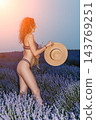 Lavender woman hat, woman standing in purple flower field holding straw hat enjoying summer sunset vacation relaxation and natural beauty 143769251
