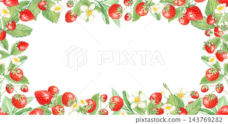 Strawberry wide horizontal frame border with white flowers and leaves. Hand drawn watercolor botanical illustration isolated element. Panoramic background design for tea packaging clip art Strawberry wide horizontal frame border with white flowers and leaves. Hand drawn watercolor botanical illustration isolated element. Panoramic background design for tea packaging clip art 143769282