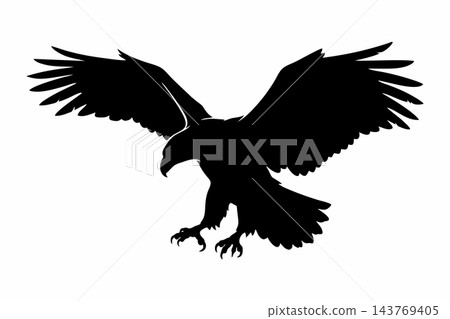 Flying Eagle Silhouette Vector Graphic 143769405