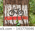 Bicycle Trail Marker Painted On Tree Trunk In Lush Forest With Red And White Banding 143770046