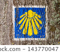 Camino de Santiago Scallop Shell Trail Marker Painted on Tree Trunk 143770047