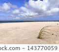 Lonely Dune Grass on Sandy Beach With Calm Ocean Horizon and Dramatic Cloudy Sky 143770059