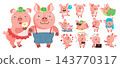 Cartoon pig characters. Cute farm animals in various poses, actions or expressions. Along pink piglet or with smile children and parents. Funny little swine. Domestic mammals vector set 143770317