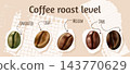 Coffee beans stages. 3d natural coffee bean roast process cafe infographic poster green brown dark arabic beans light medium drink beverage degree realistic vector illustration 143770629