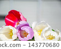 Brightly colored tulips in shades of red, pink, purple, and white display the beauty of spring flowers against a light backdrop 143770680