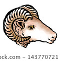 日式綿羊插畫 143770721