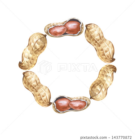 Watercolor peanut wreath on an isolated background. Round botanical frame made of walnut shells and kernels. 143770872