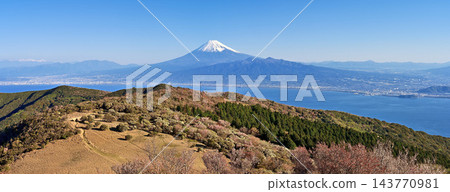 從伊豆半島伊豆山脊步道上的金冠山頂可以欣賞到富士山的全景。 從伊豆半島伊豆山脊步道上的金冠山頂可以欣賞到富士山的全景。 143770981