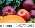 Autumn Harvest Still Life with Pumpkins and Apples. Farmer's market stand with fresh vegetables and fruits. Apples and pumpkin in bicycle basket. Healthy food background. October harvest. Fall harvest 143771263