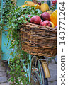 Autumn Harvest Still Life with Pumpkins and Apples. Farmer's market stand with fresh vegetables and fruits. Apples and pumpkin in bicycle basket. Healthy food background. October harvest. Fall harvest 143771264