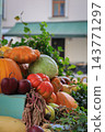 Autumn Harvest Still Life with Pumpkins, Apples and Squash. Farmer's market stand with fresh vegetables and fruits. Healthy food background. Pumpkin, apples, cabbage and squash in basket.  143771297