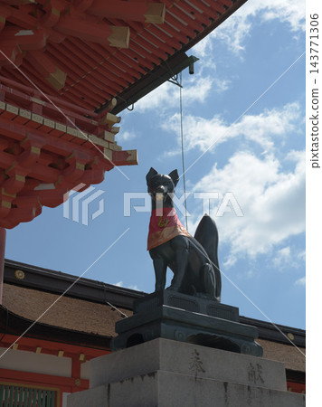 京都伏見稻荷大社的守護狐狸和朱紅色神社建築,以藍天為背景。 京都伏見稻荷大社的守護狐狸和朱紅色神社建築,以藍天為背景。 143771306