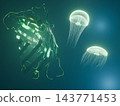 一張奇幻的 3DCG 影像，描繪了一隻因 GFP（綠色螢光蛋白）而發出綠光的水母（維多利亞多管發光水母）。 143771453