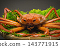 Red snow crabs are caught in the Sea of Japan from Shimane Prefecture to Hokkaido. 143771915