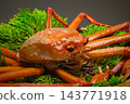 Red snow crabs are caught in the Sea of Japan from Shimane Prefecture to Hokkaido. 143771918