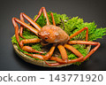 Red snow crabs are caught in the Sea of Japan from Shimane Prefecture to Hokkaido. 143771920