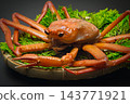 Red snow crabs are caught in the Sea of Japan from Shimane Prefecture to Hokkaido. 143771921
