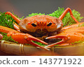 Red snow crabs are caught in the Sea of Japan from Shimane Prefecture to Hokkaido. 143771922