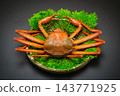 Red snow crabs are caught in the Sea of Japan from Shimane Prefecture to Hokkaido. 143771925