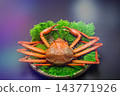 Red snow crabs are caught in the Sea of Japan from Shimane Prefecture to Hokkaido. 143771926