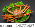 Red snow crabs are caught in the Sea of Japan from Shimane Prefecture to Hokkaido. 143771927