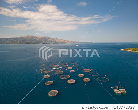 Circular fish pens cluster offshore for fish farming in open water. Floating aquaculture cages and marker buoys sit below cloud streaked sky, with coastal mountains on horizon, forming marine farm. 143772328