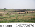 Scenic landscape view of an open field with sparse trees and vegetation 143772670