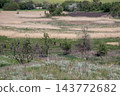 Scenic landscape view of an open field with sparse trees and vegetation 143772682