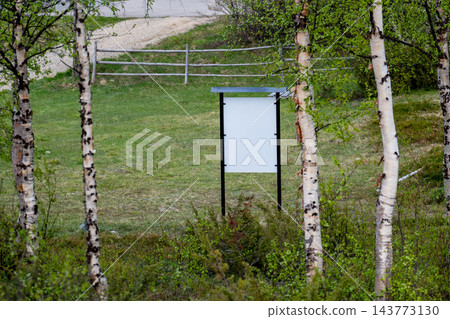 blank information board in birch forest landscape with green spring nature in lapland finland blank information board in birch forest landscape with green spring nature in lapland finland 143773130