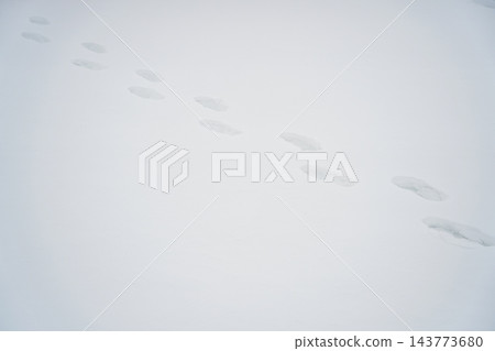 雪地上的腳印。純白的冬季背景圖。留有文字空間。 143773680