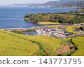 梯田和海百合俯瞰海邊村莊。 143773795