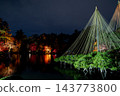 夜晚的兼六園，白雪皚皚的樹木在燈光的襯托下顯得格外美麗。 143773800