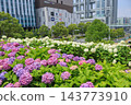 【東京都江東區】Symbol Promenade Park的繡球花景 143773910
