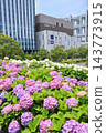 【東京都江東區】Symbol Promenade Park的繡球花景 143773915