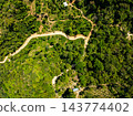 Top view forest green nature background 143774402