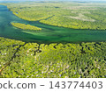 Amazing abundant mangrove forest, Aerial view of forest trees Rainforest ecosystem and healthy environment background, Texture of green trees forest top down, High angle view 143774403