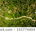 Top view forest green nature background 143774404