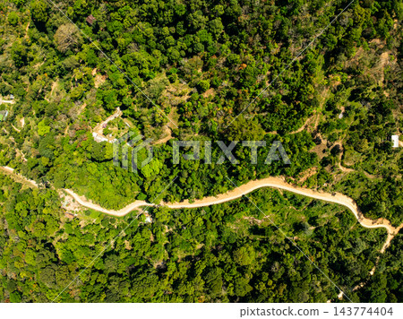 Top view forest green nature background 143774404