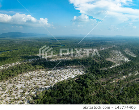 Amazing abundant mangrove forest, Aerial view of forest trees Rainforest ecosystem and healthy environment background, Texture of green trees forest top down, High angle view Amazing abundant mangrove forest, Aerial view of forest trees Rainforest ecosystem and healthy environment background, Texture of green trees forest top down, High angle view 143774406